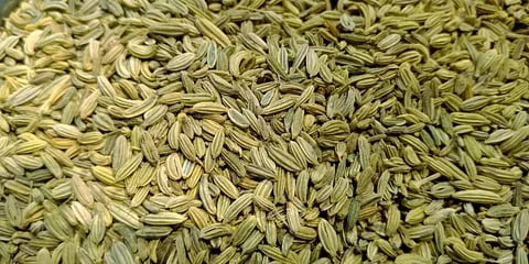 تصویر 3 از زیره اصل کوهی با رایحه طبیعی و عطر کوهستان